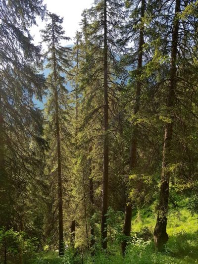 Hommage aux Origines — étape 13 : Jenaz > Col de la Flüela