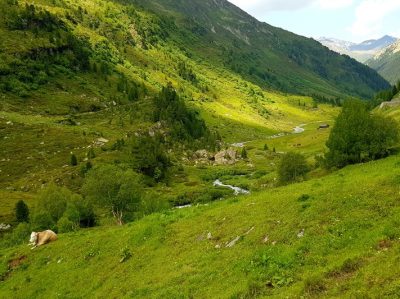 Hommage aux Origines — étape 13 : Jenaz > Col de la Flüela
