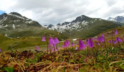 Hommage aux Origines — étape 13 : Jenaz > Col de la Flüela