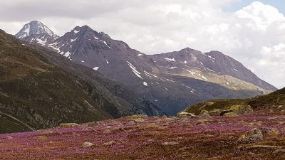 Hommage aux Origines — étape 13 : Jenaz > Col de la Flüela