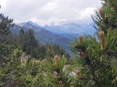 Hommage aux Origines — étape 14 : Col de la Flüela > Tschierv