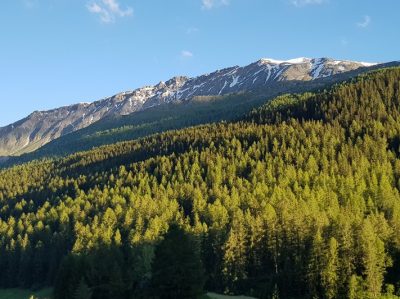 Hommage aux Origines — étape 14 : Col de la Flüela > Tschierv