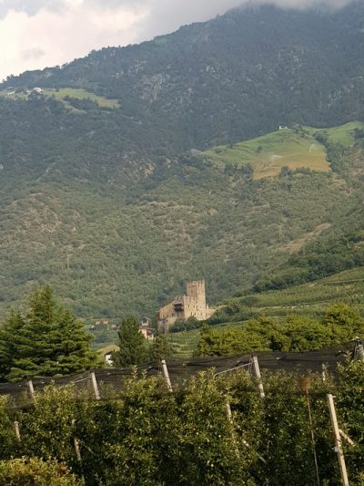 Hommage aux Origines — étape 16 : Corzes > Sinigo