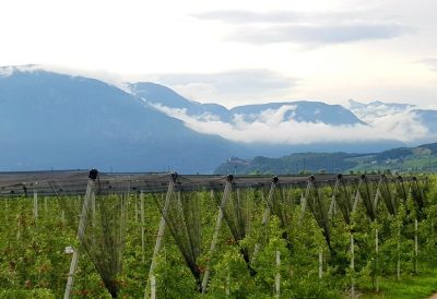 Hommage aux Origines — étape 17 : Sinigo > Montagna