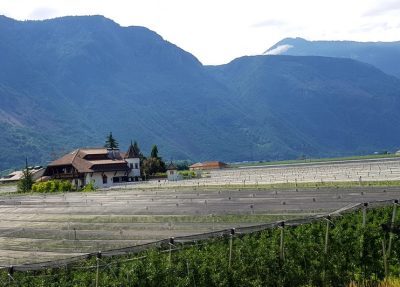 Hommage aux Origines — étape 17 : Sinigo > Montagna