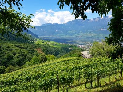 Hommage aux Origines — étape 17 : Sinigo > Montagna