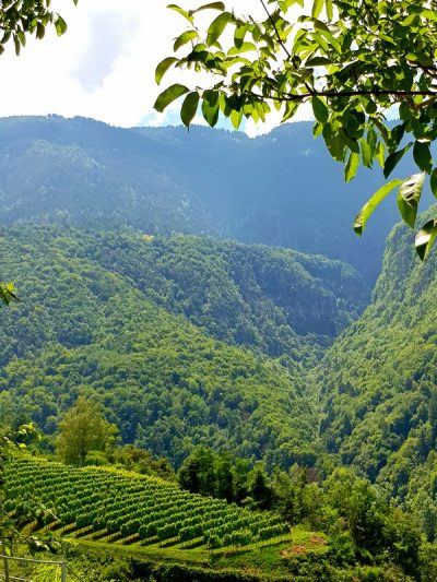 Hommage aux Origines — étape 17 : Sinigo > Montagna