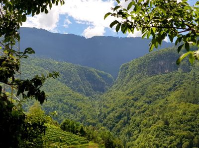 Hommage aux Origines — étape 17 : Sinigo > Montagna