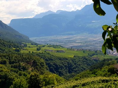 Hommage aux Origines — étape 17 : Sinigo > Montagna