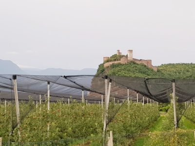 Hommage aux Origines — étape 17 : Sinigo > Montagna
