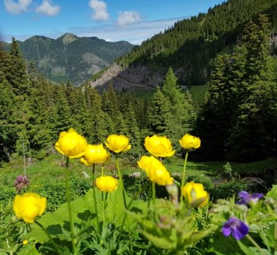 Hommage aux Origines — étape 18 : Montagna > Passo Manghen