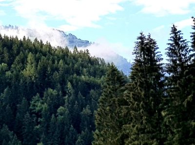 Hommage aux Origines — étape 18 : Montagna > Passo Manghen