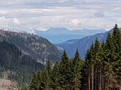 Hommage aux Origines — étape 18 : Montagna > Passo Manghen