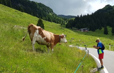 Hommage aux Origines — étape 18 : Montagna > Passo Manghen