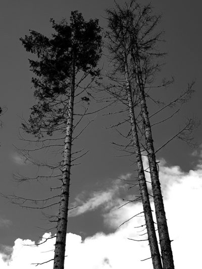 Hommage aux Origines — étape 18 : Montagna > Passo Manghen