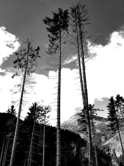 Hommage aux Origines — étape 18 : Montagna > Passo Manghen