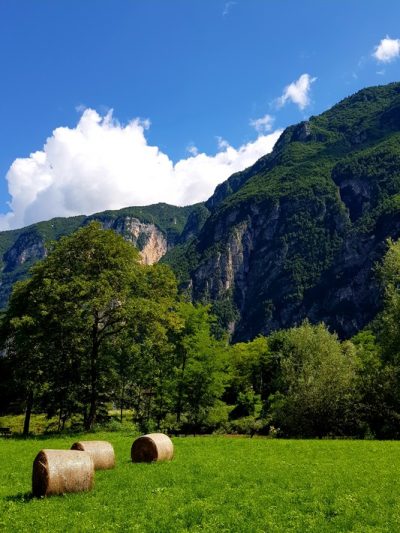 Hommage aux Origines — étape 19 : Passo Manghen > Martincelli