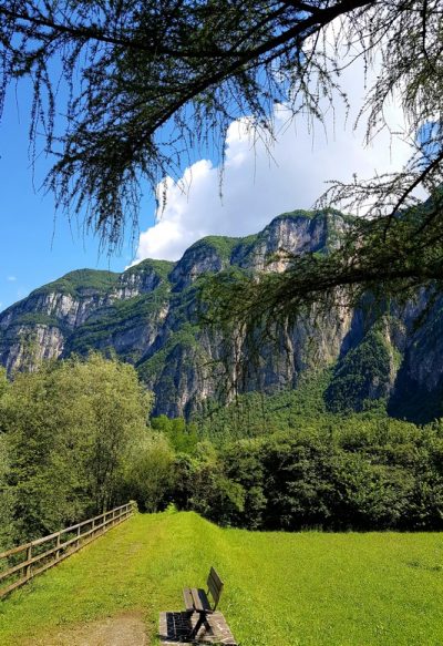 Hommage aux Origines — étape 19 : Passo Manghen > Martincelli