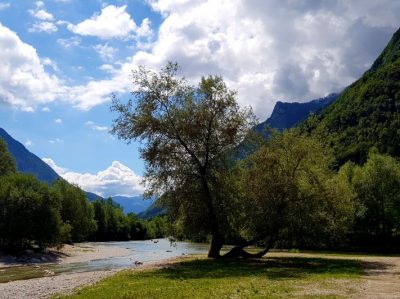 Hommage aux Origines — étape 19 : Passo Manghen > Martincelli