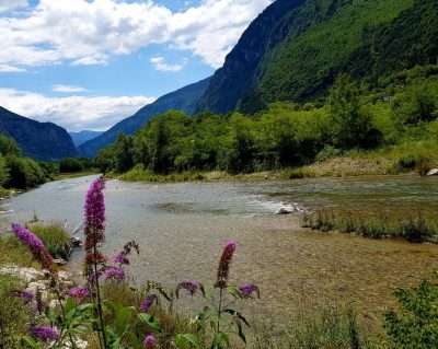 Hommage aux Origines — étape 19 : Passo Manghen > Martincelli