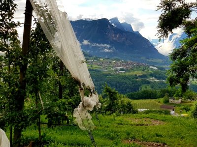 Hommage aux Origines — étape 19 : Passo Manghen > Martincelli
