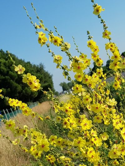 Hommage aux Origines — étape 24 : Crociara > Lidi di Comacchio