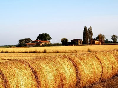 Hommage aux Origines — étape 25 : Lidi di Comacchio > Lido di Dante