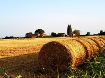 Hommage aux Origines — étape 25 : Lidi di Comacchio > Lido di Dante