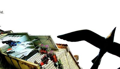 Hommage aux Origines — étape 31 : Falconara Marittima > Sirolo