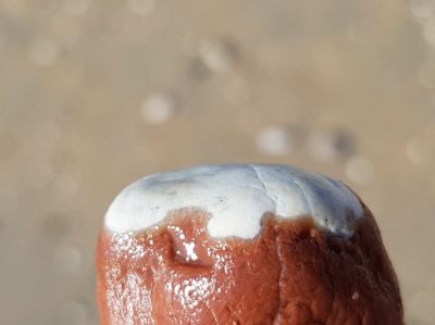 Hommage aux Origines — étape 32 : Sirolo > Porto Civitanova