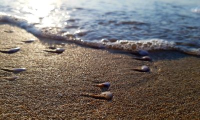 Hommage aux Origines — étape 35 : Giulianova > Silvi