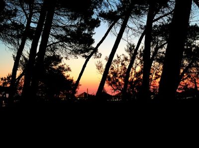Hommage aux Origines — étape 36 : Silvi > Alanno