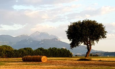Hommage aux Origines — étape 36 : Silvi > Alanno