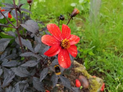 Hommage aux Origines — étape 4 : Lezey > Étang de Thiaville
