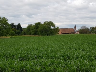 Hommage aux Origines — étape 6 : Steige > Badesee Whyl