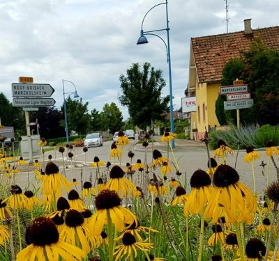 Hommage aux Origines — étape 6 : Steige > Badesee Whyl