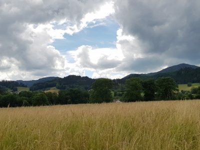 Hommage aux Origines — étape 7 : Badesee Whyl > Oberried