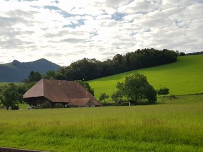 Hommage aux Origines — étape 7 : Badesee Whyl > Oberried