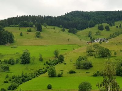 Hommage aux Origines — étape 8 : Oberried > Ühlingen