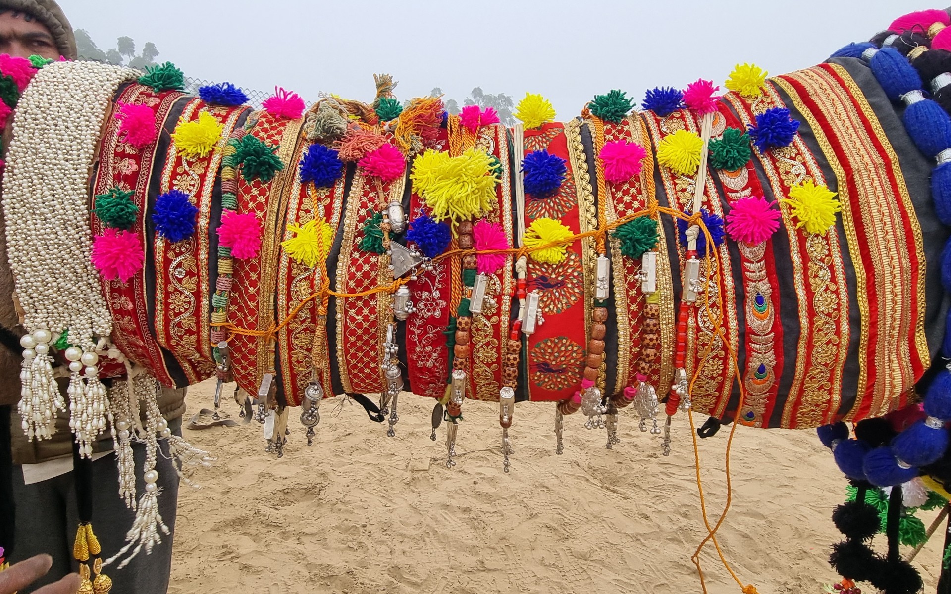 Bikaner