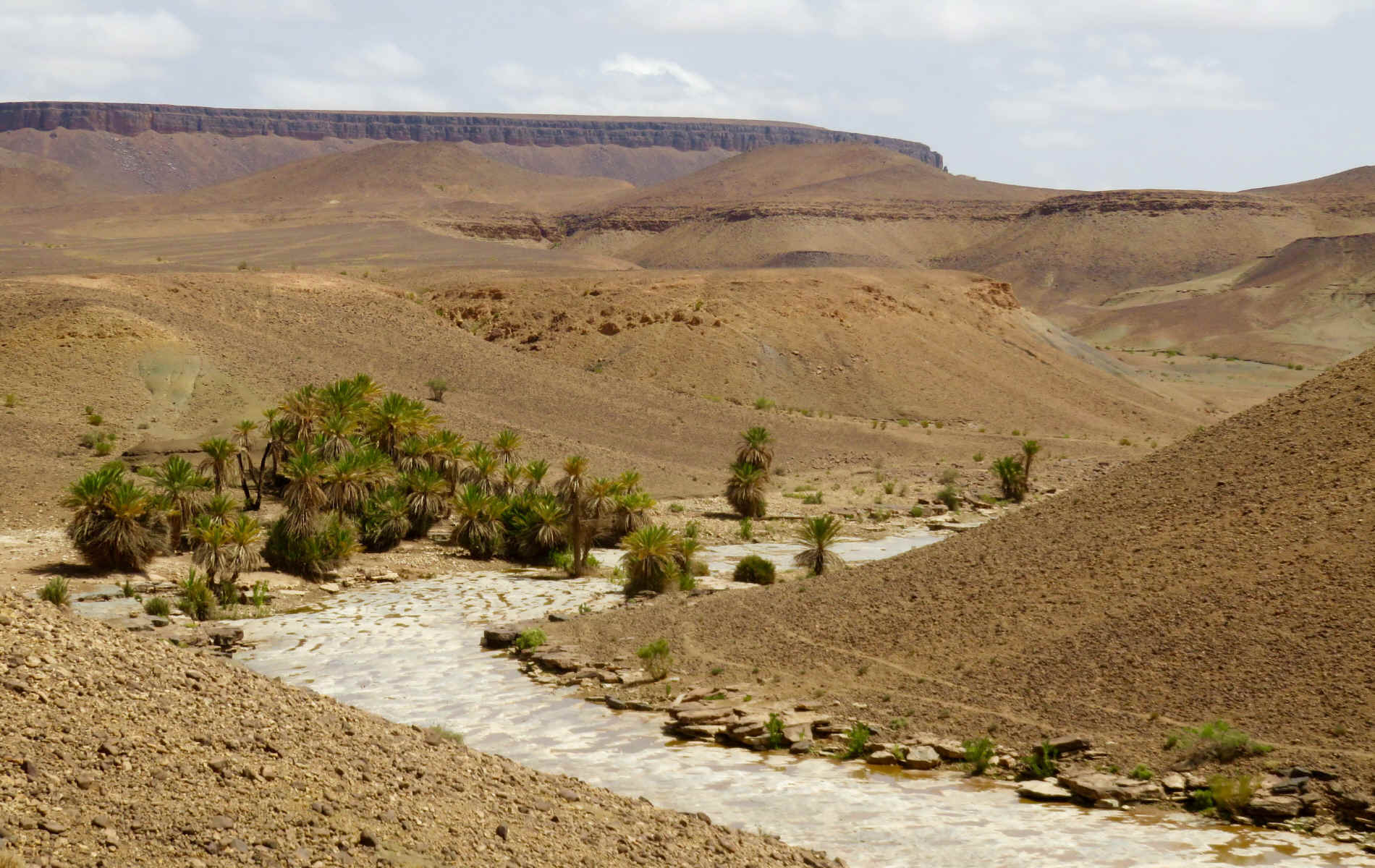 Zagora > Oasis de Diabi