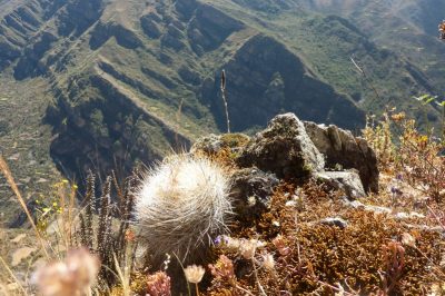 La cordillère Huayhuash — étape 2 : Chiquian - Llamac - Jahuacocha
