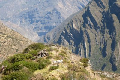 La cordillère Huayhuash — étape 2 : Chiquian - Llamac - Jahuacocha