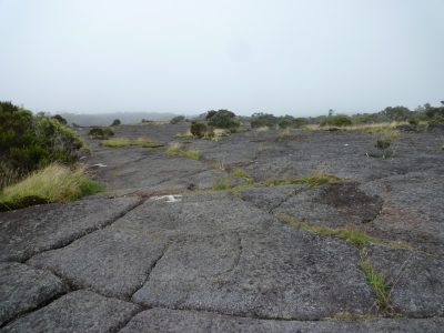 Île de la Réunion — étape 1 : Saint Denis - Plaine des Chicots - La Roche Ecrite