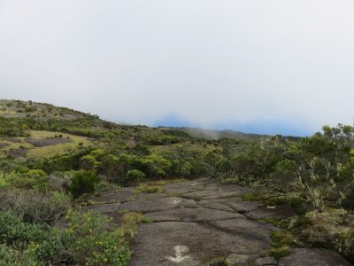 Île de la Réunion — étape 1 : Saint Denis - Plaine des Chicots - La Roche Ecrite