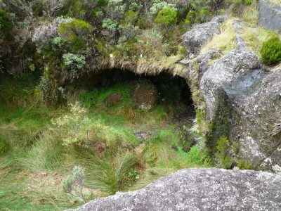 Île de la Réunion — étape 1 : Saint Denis - Plaine des Chicots - La Roche Ecrite