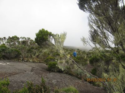 Île de la Réunion — étape 1 : Saint Denis - Plaine des Chicots - La Roche Ecrite