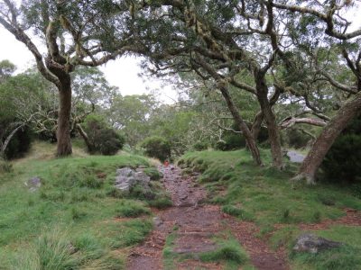 Île de la Réunion — étape 10 : Grand Ilet - Marla