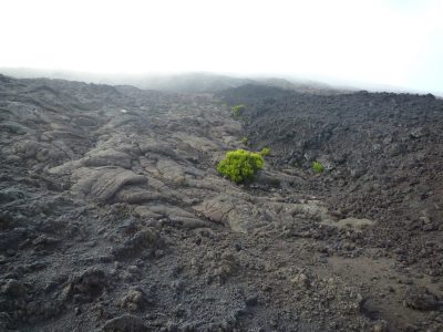 Île de la Réunion — étape 13 : Bourg Murat - Piton de la Fournaise