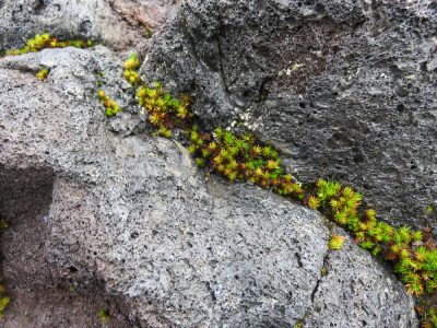 Île de la Réunion — étape 13 : Bourg Murat - Piton de la Fournaise